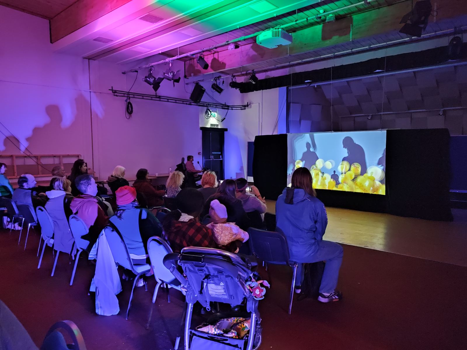 Audience watching our shadow play